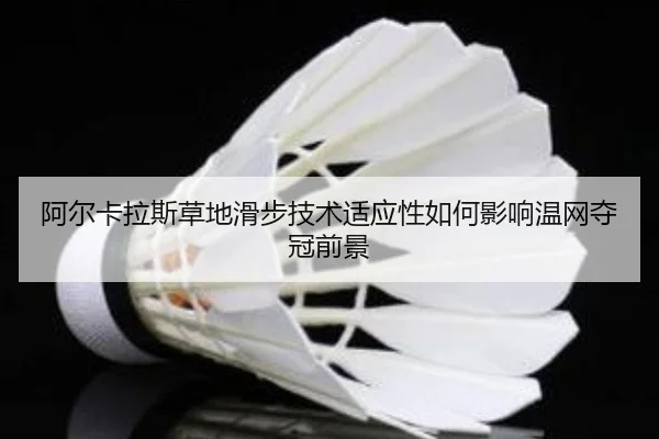 a-er-ka-la-si-cao-di-hua-bu-ji-shu-shi-ying-xing-ru-he-ying-xiang-wen-wang-duo-guan-qian-jing-2-528.jpg