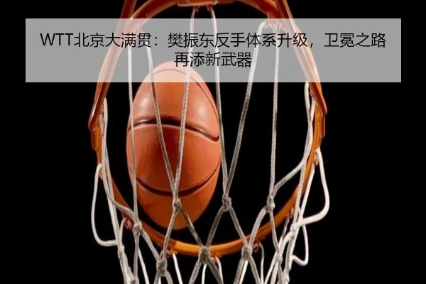 bei-jing-da-man-guan-fan-zhen-dong-fan-shou-ti-xi-sheng-ji-wei-mian-zhi-lu-zai-tian-xin-wu-qi-2-377.jpg